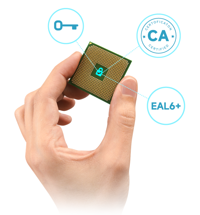 Secure Chip Protection