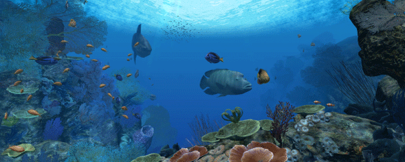 深海水域館展演圖(一)