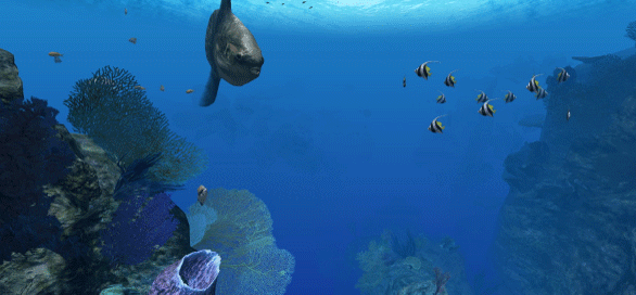 深海水域館展演圖(三)